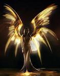 Phoenix_angels