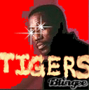 tigers_blade