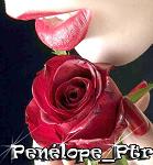 Penelope_Ptr