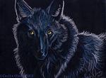 Wolf68_